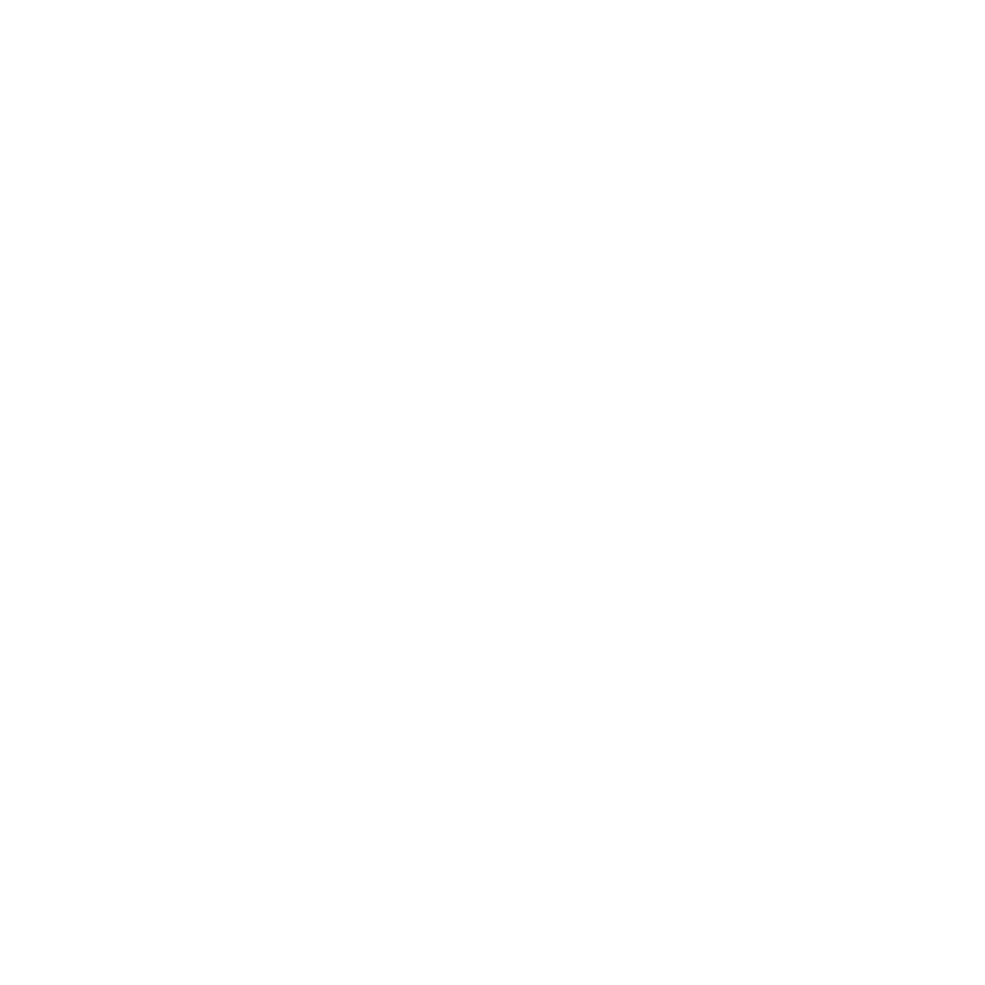 System Ascent